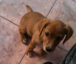 Milo Valentin Fernandez Parada